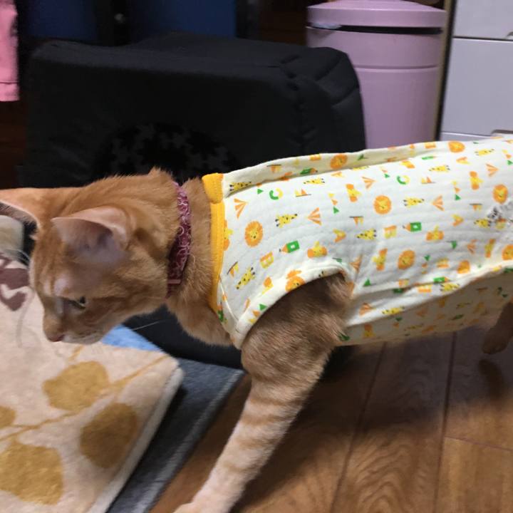 D3a3bfcd 05b1 45fd 8896 9705e7ce4a7a 1515888140157