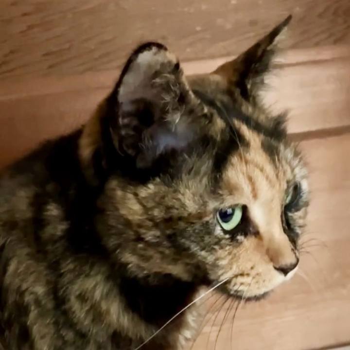 D3a3f112 87c5 4d4f 9c8b 3df24c3512ea 1740879260884