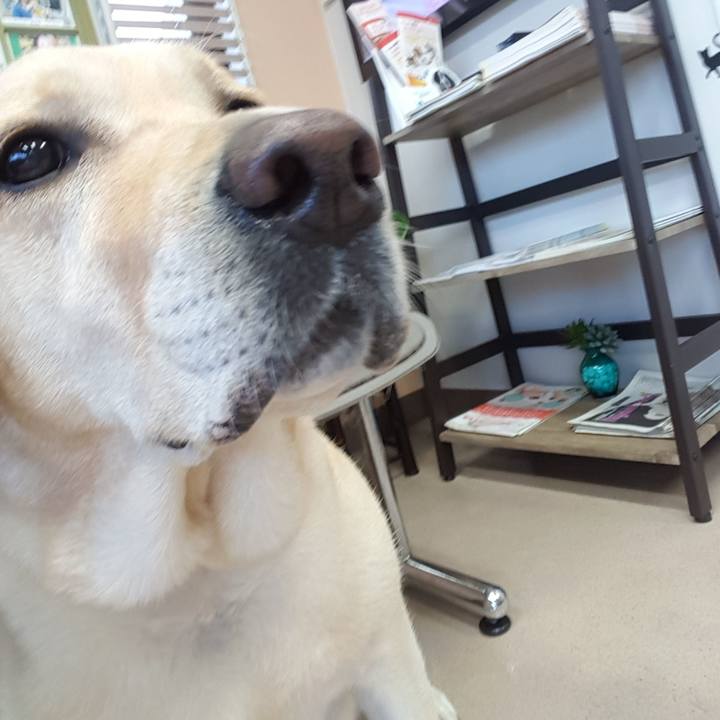 D3a40f15 b6a4 435c 918b 5aeb469b34e3 1569314377947