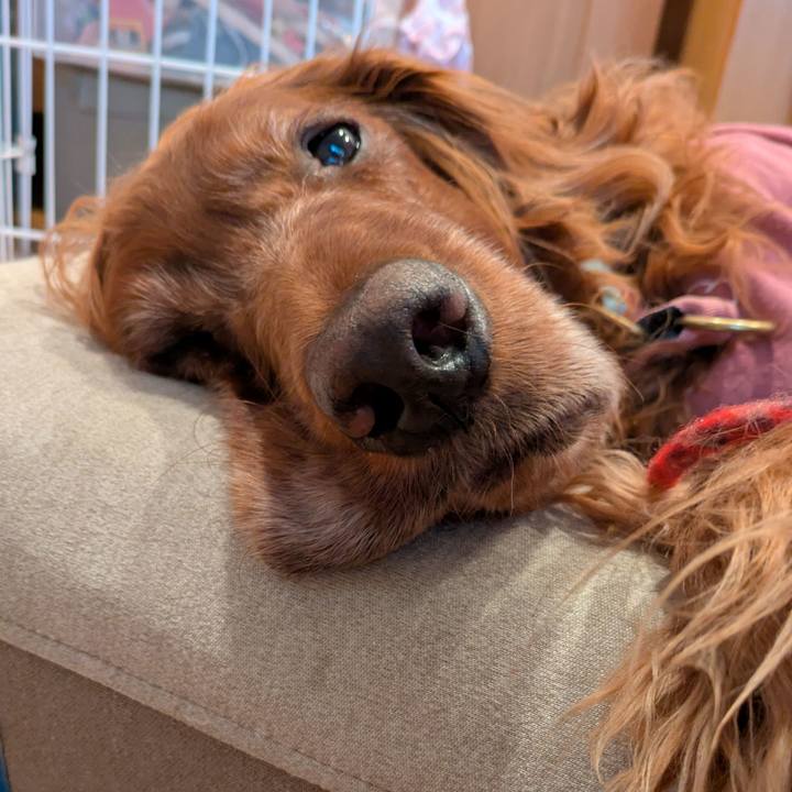 D3a42b44 c0aa 4c13 90e9 45da798dde41 1776299888283