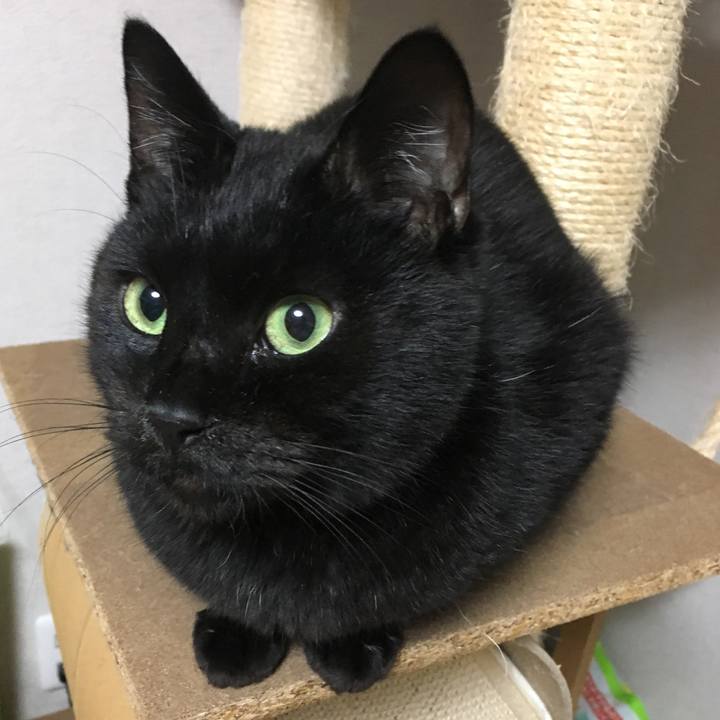 D3a43162 f101 4a84 a702 190f7a034a6a 1544349072050