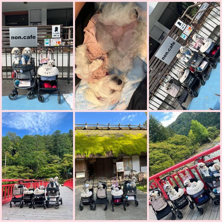 D3a44de8 31c5 4740 b847 6417044e945f 1728563984845