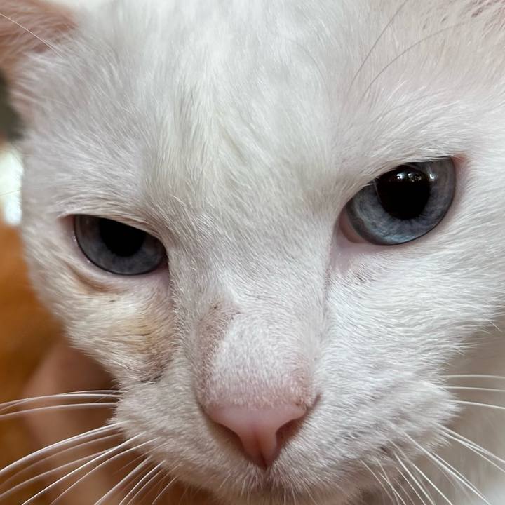 D3a44ed6 58e9 4851 afb6 13d41fd27a0e 1688536227591