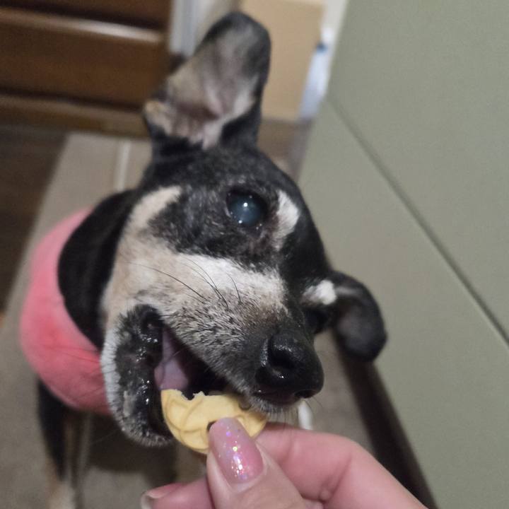 D3a469bf e050 4443 97f9 bf3af645ca75 1774036162704