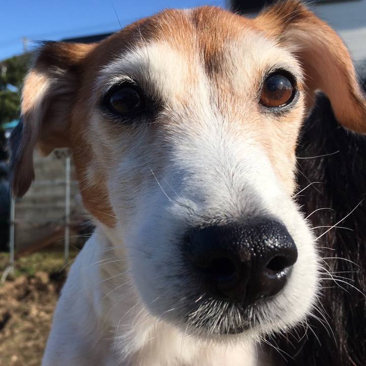 D3a4b353 e6b1 427c 93ea 6bb90c7222db 1585194488430