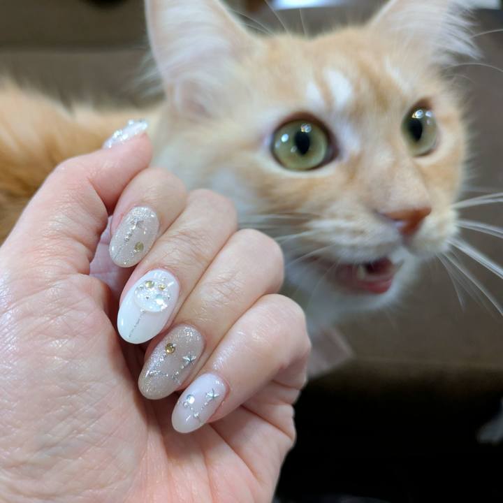 D3a4f8e5 c710 44ca 92ed 861464f0811e 1732600193762