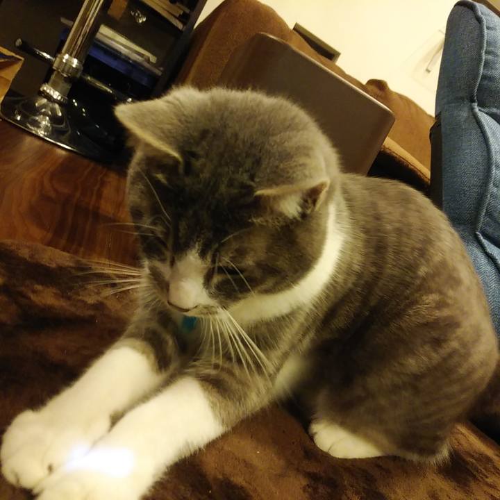 D3a53544 a1f7 46f5 a402 f475169de32c 1582472141324