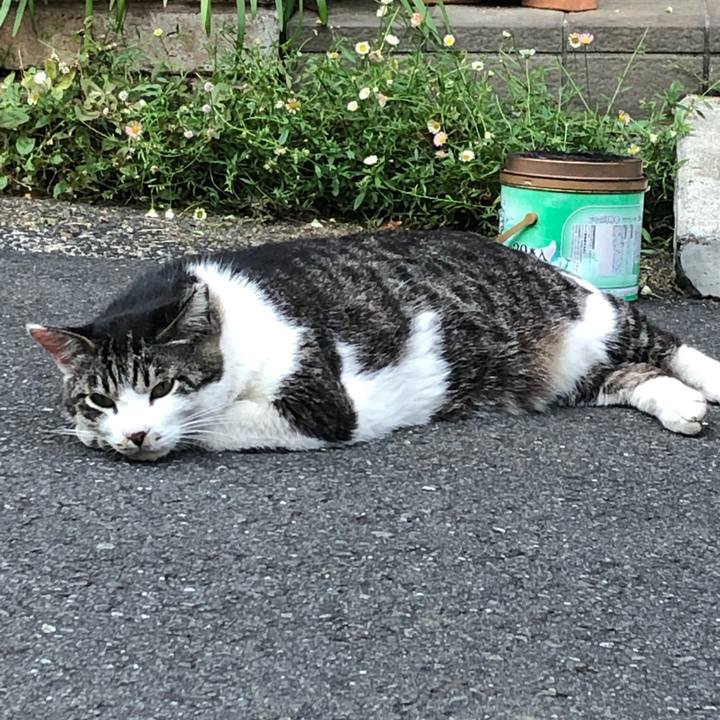 D3a543a0 a8c9 4bdb 843f 60ba3c742c4e 1590648706677