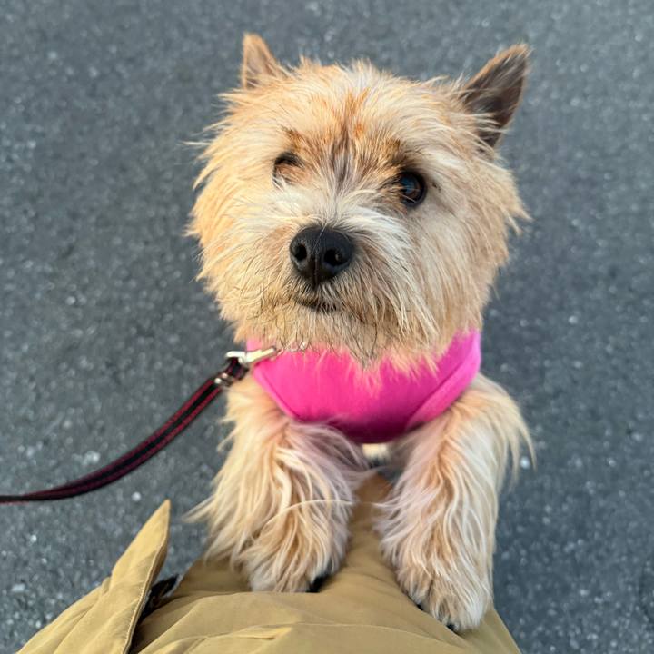 D3a55a41 cc7c 4932 b653 5520cac4333e 1770256681902