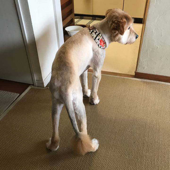 D3a59699 8878 4fe2 a9cf 20551fc55895 1594035567898