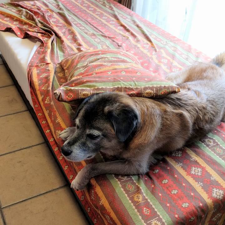 D3a5a6a7 d54d 48c5 abc2 cc2df098958f 1534722562199