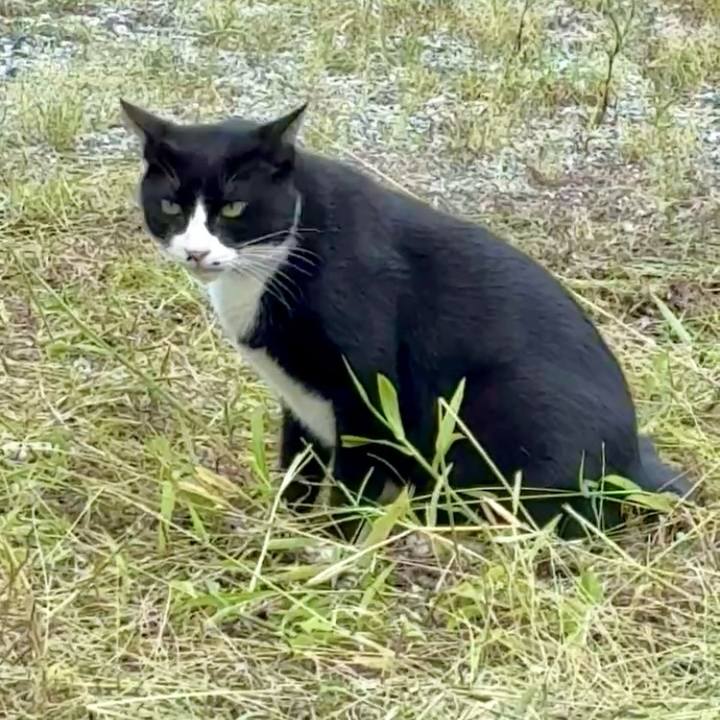 D3a5df19 754d 4375 a656 0d975d8c25c9 1759136074614