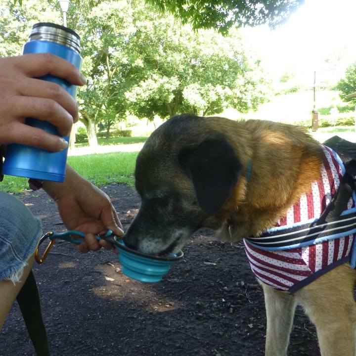 D3a5fc16 16de 4d84 aa72 9eb002b181bc 1580303035956