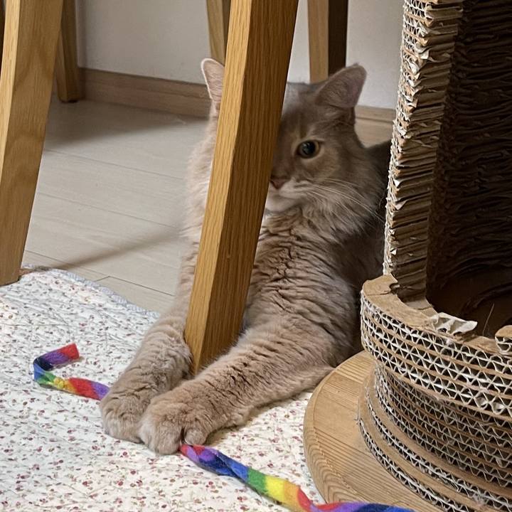 D3a66225 ea0b 4004 9203 9d7c1493d64a 1750638558079