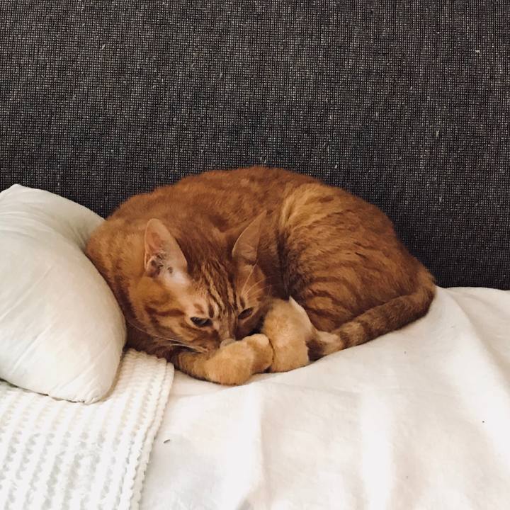 D3a6843d 2e1f 46c6 8f8e e0260332d02c 1529984294906