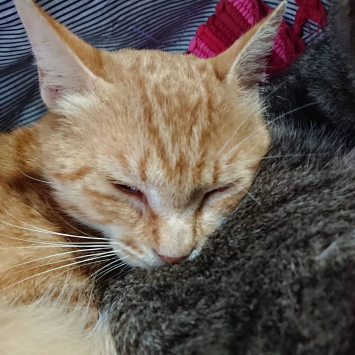 D3a688c4 39e3 4699 bb9a 662a22531cd6 1560669221238