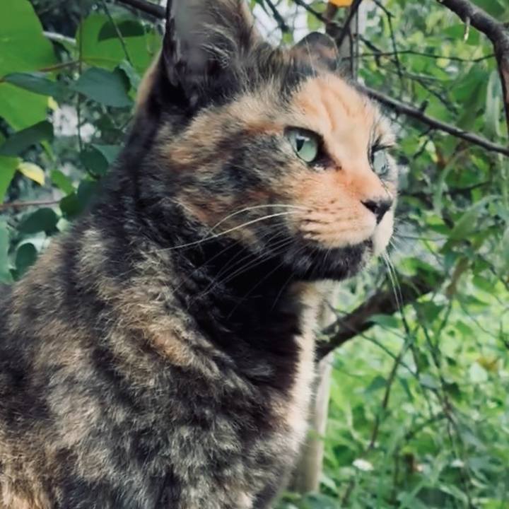 D3a6c237 27c5 41d4 afe7 ba984e59fdfa 1759027655179