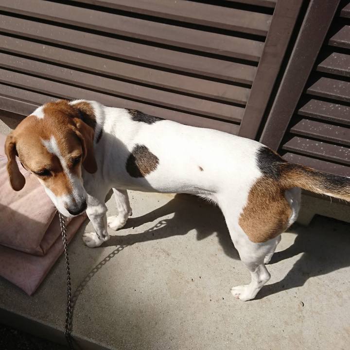 D3a6c7a3 317e 4ce9 9db1 a5beb901d279 1571798839839