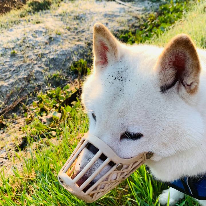 D3a6ccf4 7d4b 4d57 b7e0 e9ba5d535203 1651437925048