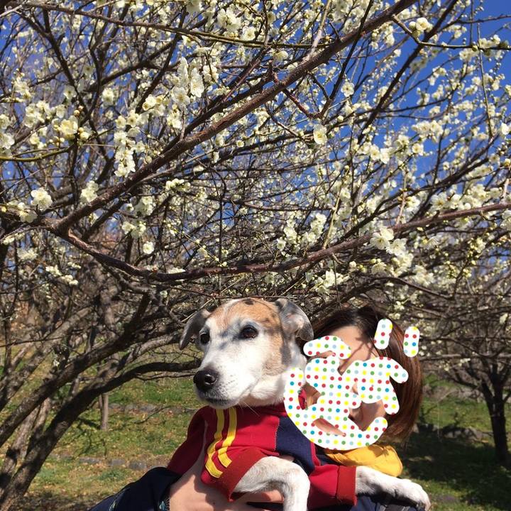 D3a6de85 eab3 4150 909e 76b0fdb4984e 1581423820233