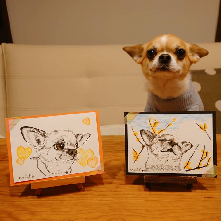 D3a6f01e 02d1 49ca 9221 c97f2781b13a 1645177824275