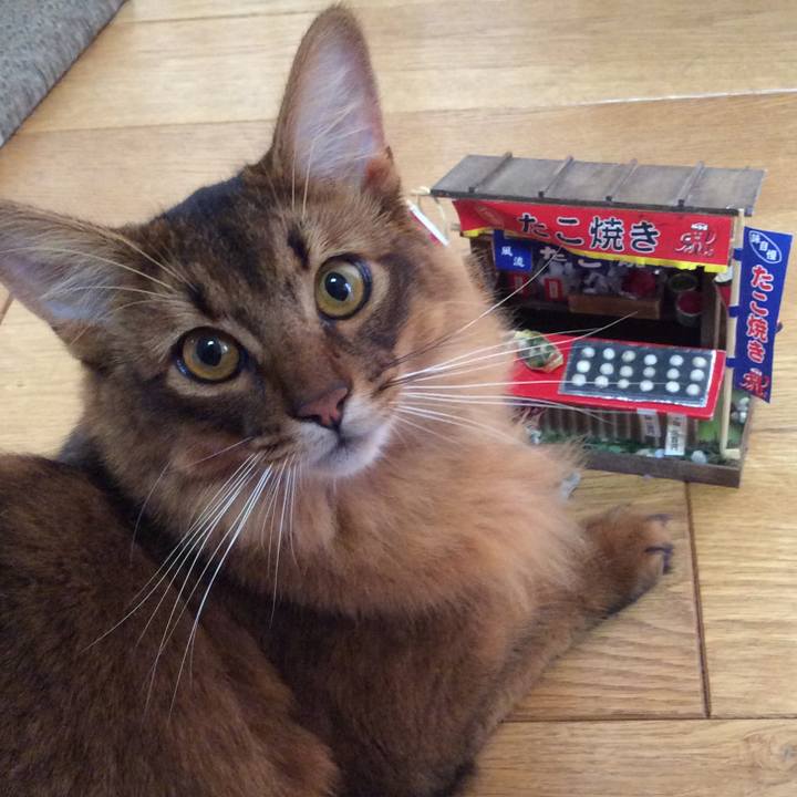 D3a71761 8714 4db2 8a57 0c7b7b1ebbe0 1596840860997