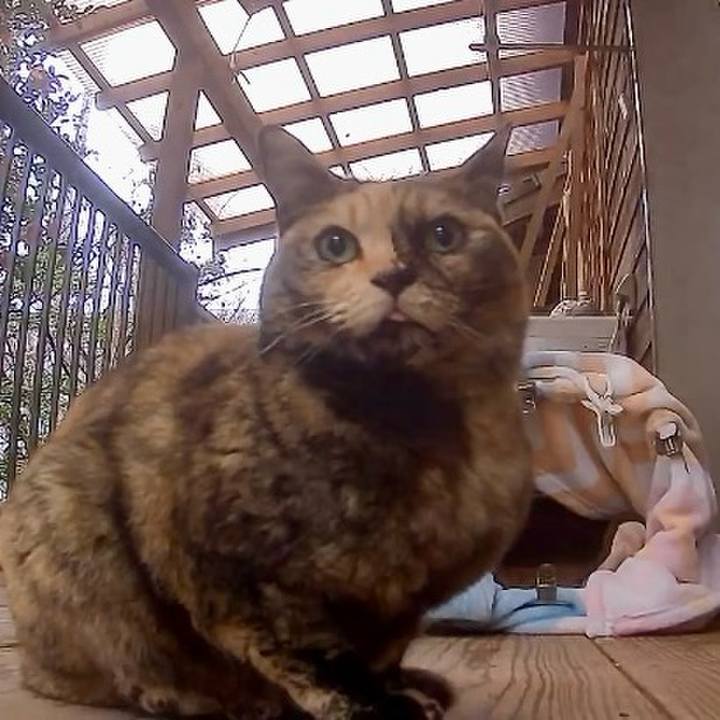 D3a746ef feff 4275 b781 04bb196b298a 1771080614245