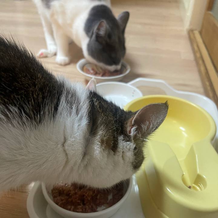 D3a792ba 9952 4a13 bfbd 6dfdbee229a7 1626000693182