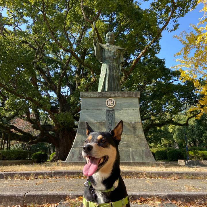 D3a7b355 9d76 487c bdbd 1119731d780c 1637328565539