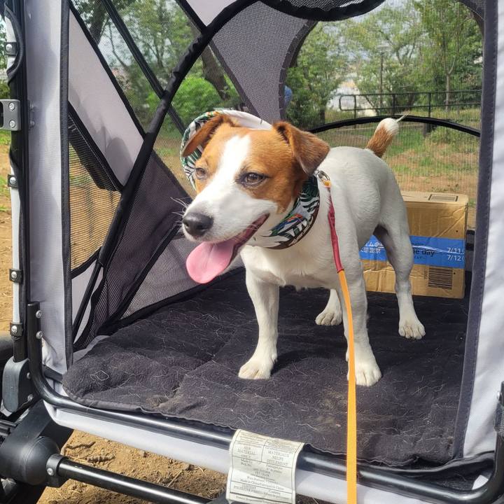 D3a7bcb8 5e5d 462b 80ef 76ffec10d613 1691714962338