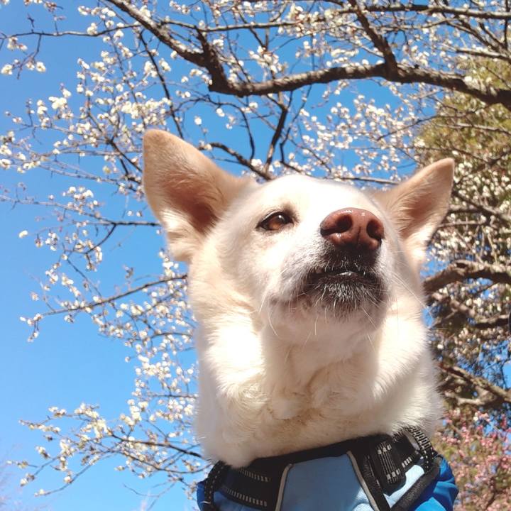 D3a7c5a7 ac11 4546 91e4 a32779940795 1644029161657