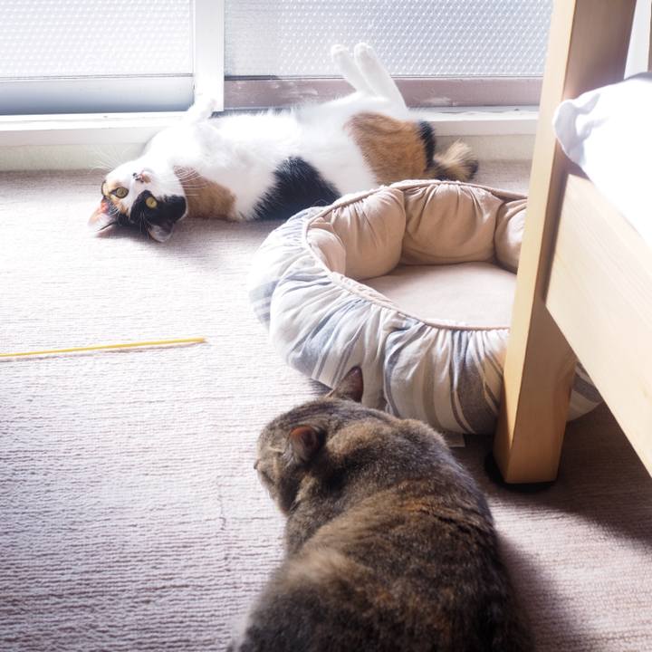 D3a7db25 7342 4be0 96ae 4716c4a01bba 1515509122287