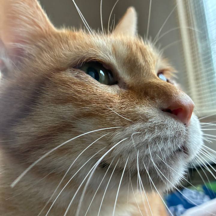 D3a7db4e 7e63 473e aa85 78275b6313b3 1760762612999