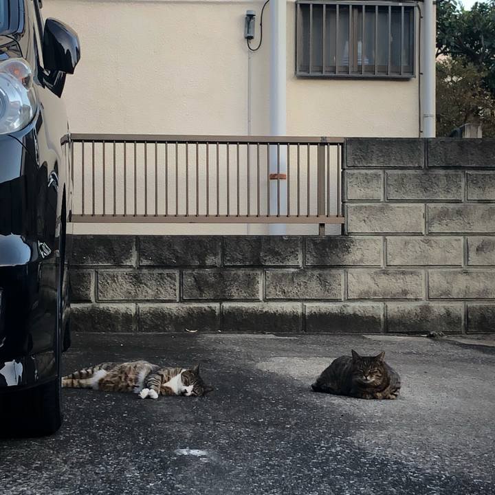 D3a7df2f 2192 42ff bd51 27917e764e32 1572727080207