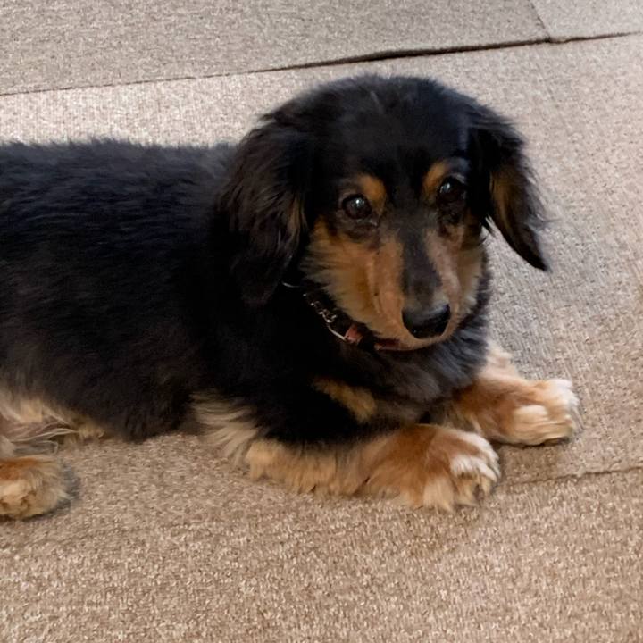 D3a7f105 a889 4435 b953 a27471e7c62d 1588801211631