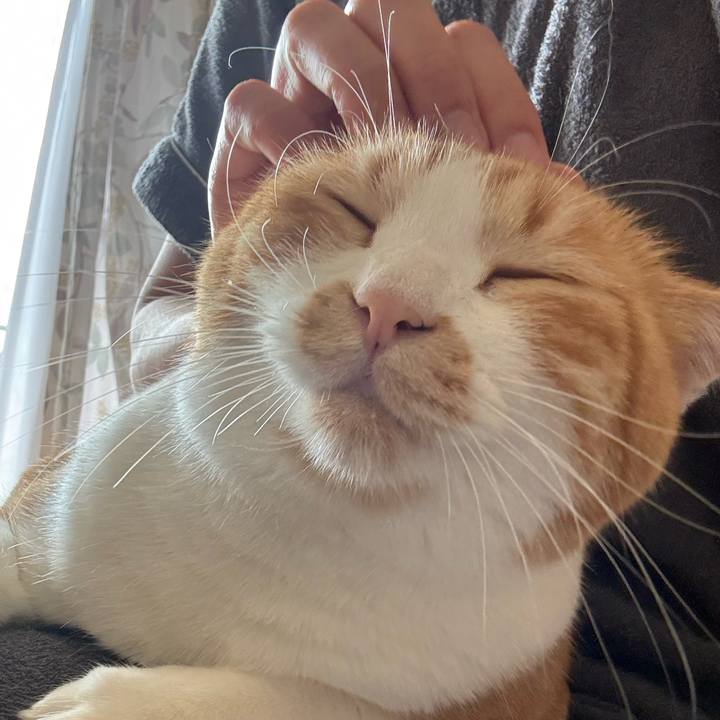 D3a81b0f 1ade 4828 8277 bd2b09f4367f 1761965131930