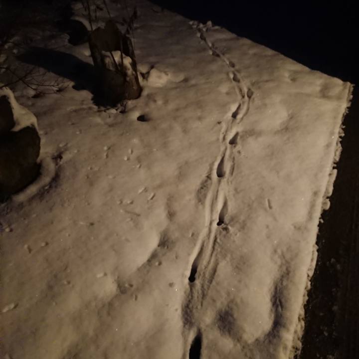 D3a83e56 6a4f 4bf3 bc3f bb4eab42e242 1579683147397