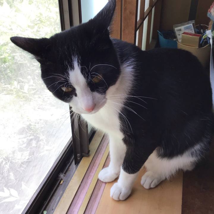 D3a85086 66b8 401a 9091 eb325f7fefd5 1651717654213