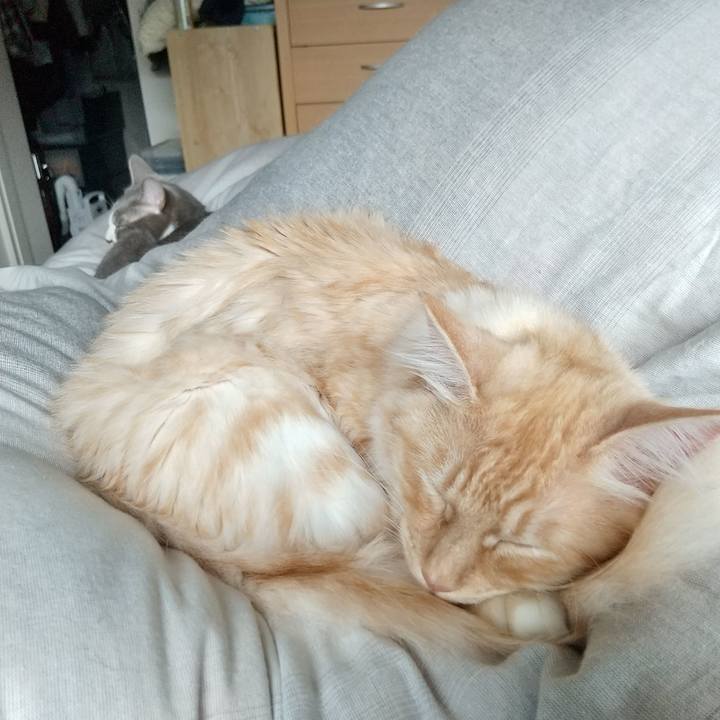 D3a899bc 18ff 4d05 b5d3 97664d491e94 1618355815012