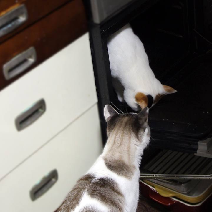 D3a8a4a1 2bac 4f9a ad7e 8c6ef5649dcb 1670113867064