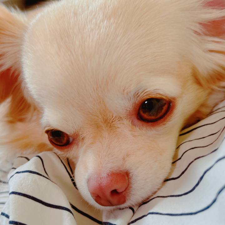 D3a8ada1 3c64 46b2 8dd1 fc6c16f27695 1651035159432