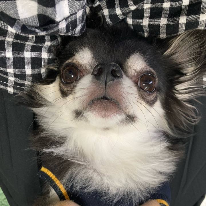 D3a8c0ab 05f6 422e bb7f 441b3834daef 1651401930710