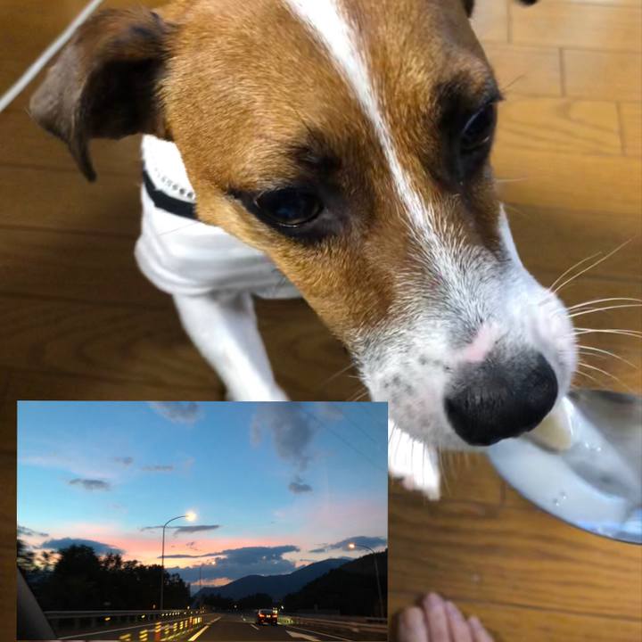 D3a8e94a 936e 4541 9adb 7cc82d0f111e 1567856182160