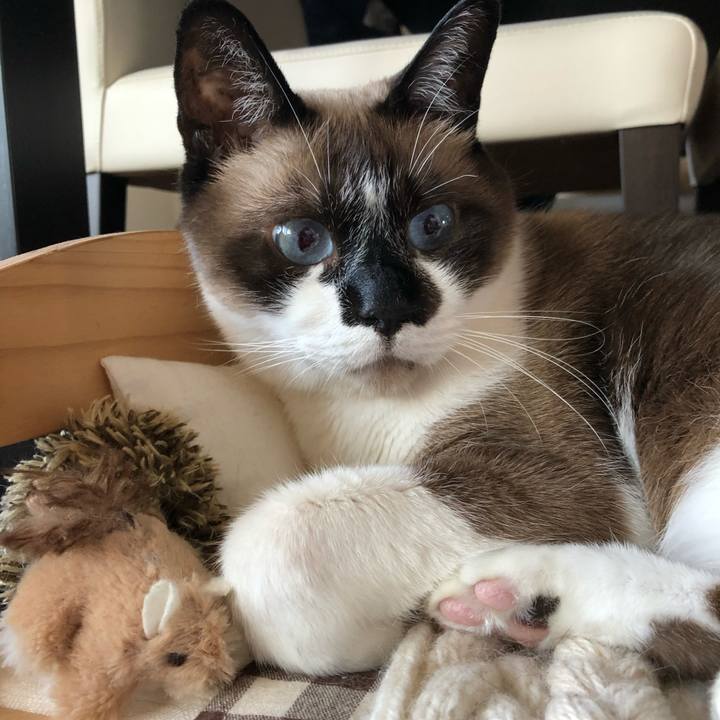 D3a91e5d 4b1f 4f78 99ee bf6616b44ef0 1638645454698