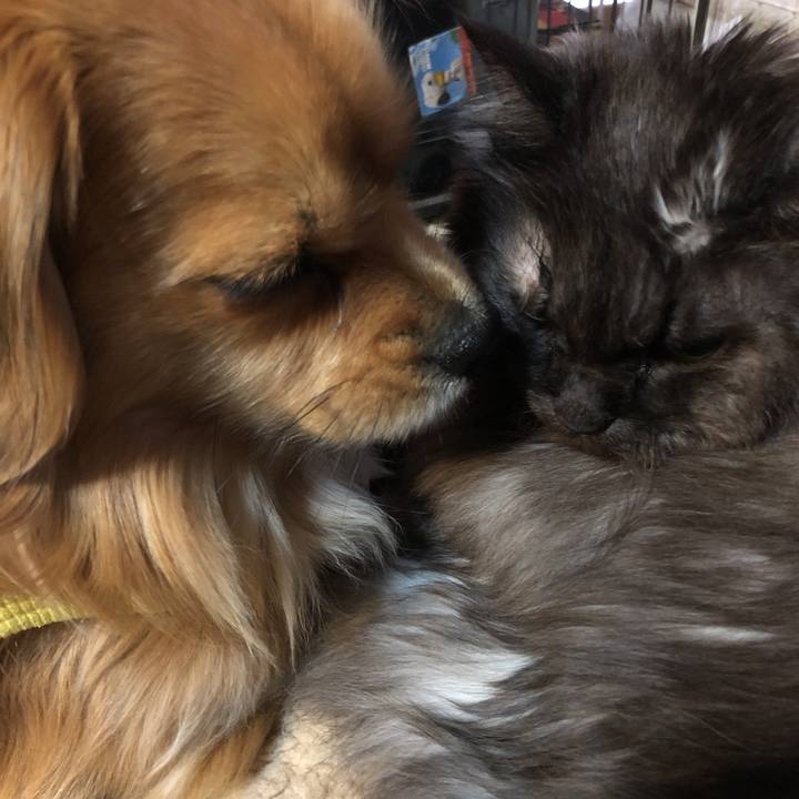 D3a92028 039e 492d 9317 445a8efc998f 1551130829771