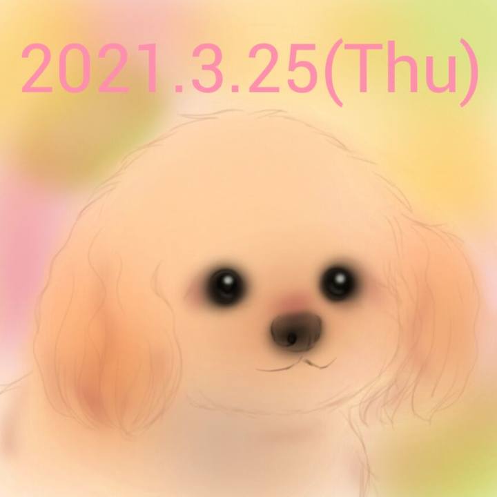 D3a93093 27e0 4ee0 9b5b 2c9287ec1697 1616681788323