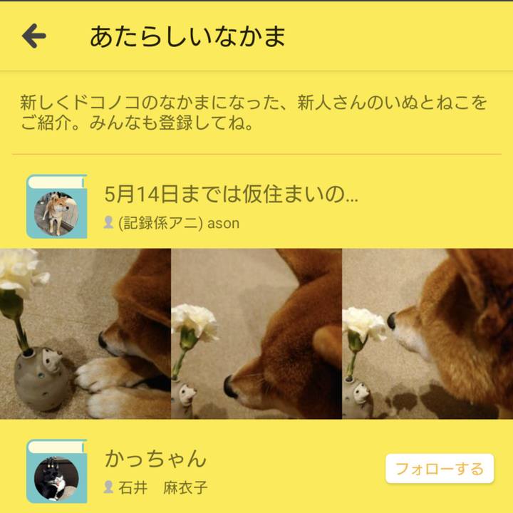 D3a95e7b e734 47f7 afbe 884ddf9c47c0 1747217629225