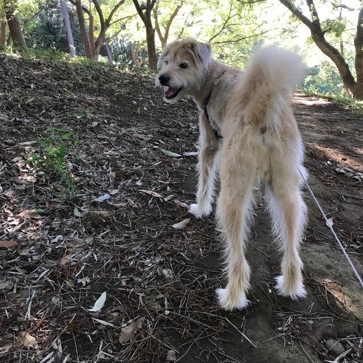 D3a9641f 1906 45a2 8834 2870b738fed7 1530511778365