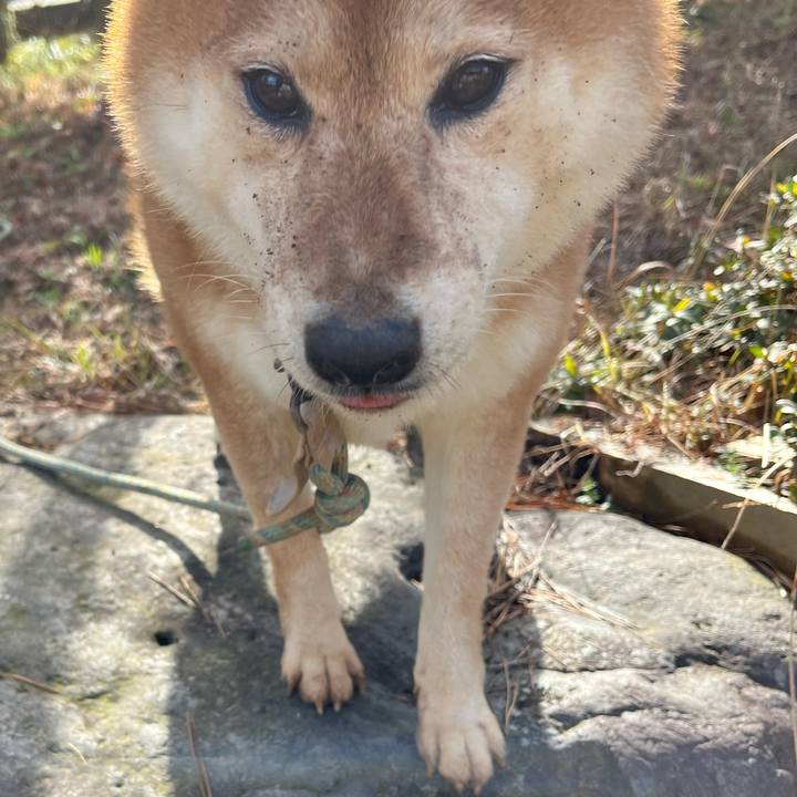 D3a96468 3f8b 4d2c b37a 915e54a49f07 1674272141576