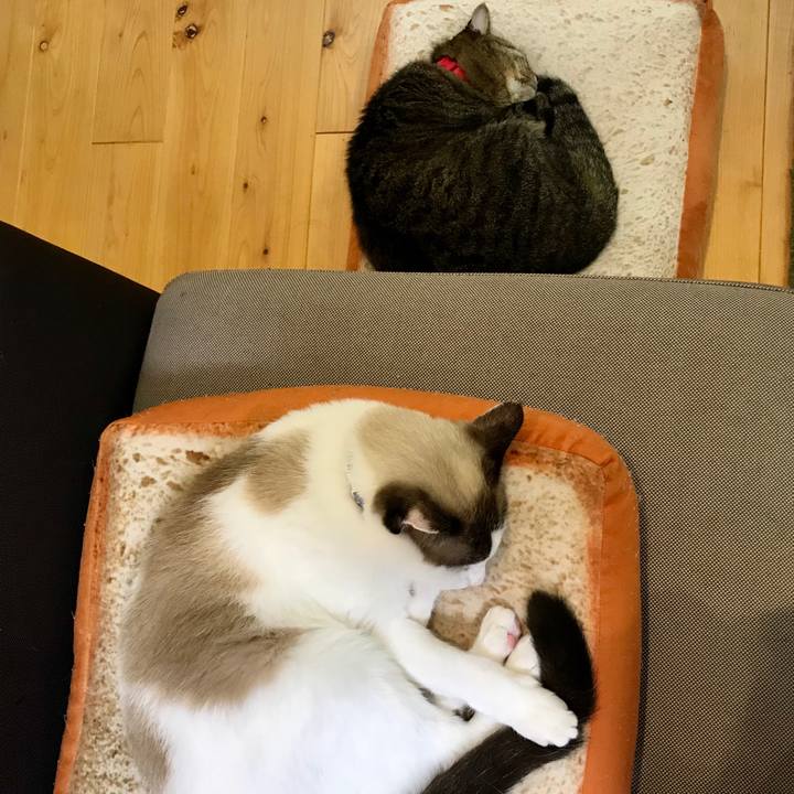 D3a97164 b843 4808 92a0 c9dcf0c521f2 1603548173229